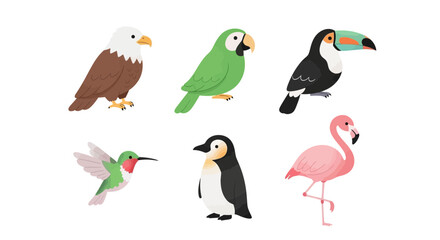 Obraz premium A diverse collection of six vibrant birds, each with unique features and colors, showcasing the beauty of avian life. These colorful birds stand out against their surroundings Vector illustration