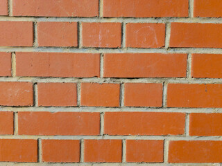 Red brick wall with visible mortar joints in sunlight