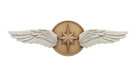Isolated military badge representing flight, leadership, and direction with star symbol