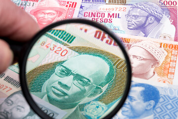 Guinea-Bissau peso in a magnifying glass