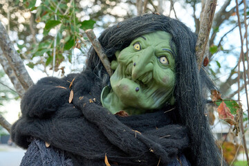 Green-faced witch with long black hair and warts peers from a tree. Spooky Halloween decoration wrapped in a black scarf outdoors.