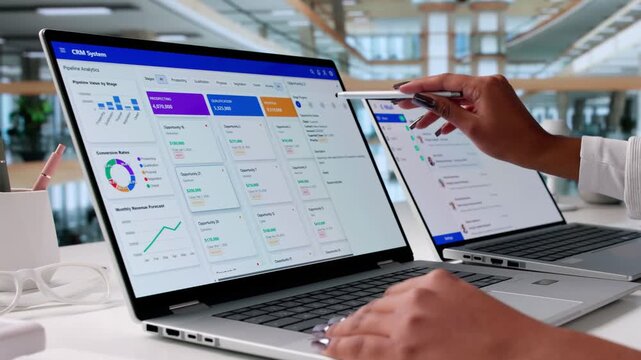 Business Person Using CRM Software System