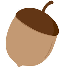 Acorn