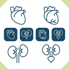 Internal Organs Icons