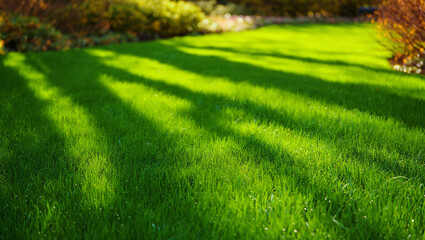 Obraz premium Lush Green Lawn with Shadow Patterns a Serene Outdoor Landscape Impression Full of Vivid Color and Natural Beauty