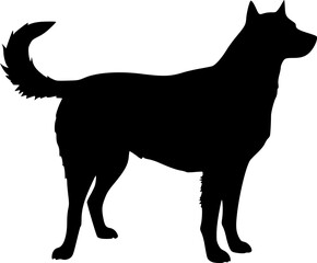 Cute dog silhouette in standing position