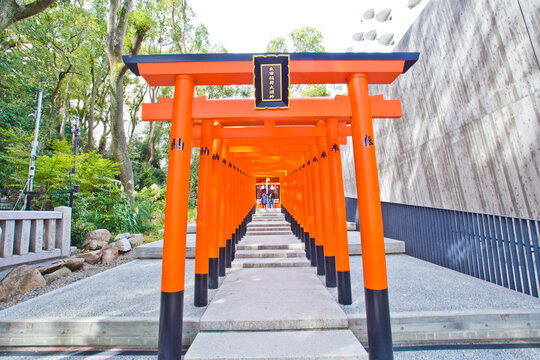Ikuta Shrine located in Sannomiya, Chuo-ward Kobe, Japan, and is possibly among the oldest shrines in the country.