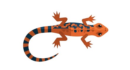 Obraz premium Red Salamander.