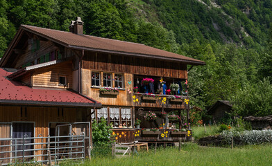 Traditional alpine wooden house with flower-decorated balconies, red metal roof, and colorful window decorations, located in a green mountain valley surrounded by dense forest and meadow in summer.