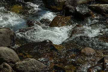 flowing water at the stream