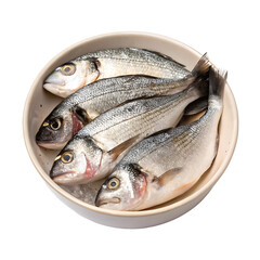Four fresh whole sea bream fish arranged in a white bowl on ice cubes graphic design