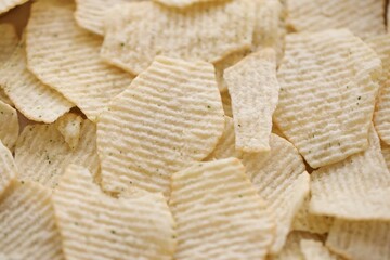 Homemade Flavored Paprika Potato Chips in a Bowl, top view. Flat lay