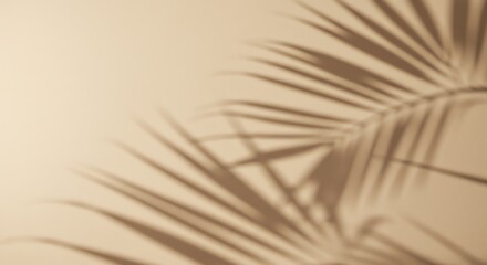 Fototapeta premium Palm leaf shadow on wall