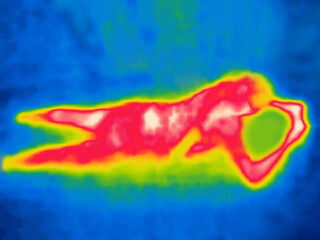 A sleeping man. Sleeping on his stomach. Image from thermal imager device.