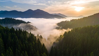 Misty mountain valley at sunrise (1)