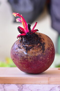 A beterraba &eacute; uma hortali&ccedil;a tuberosa, origin&aacute;ria da Europa, da fam&iacute;lia Quenopodi&aacute;cea, assim como a acelga e o espinafre