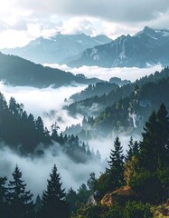 Misty mountain valley scene