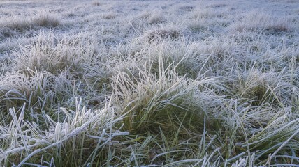 Fototapeta premium Wide horizontal view of frosty meadow from ground level with linear grass patterns