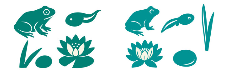 Frogs and tadpoles with aquatic plants in a natural setting during sunny day