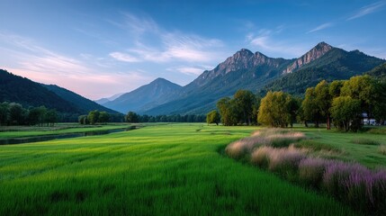 Lush Green Rice Paddy Field Landscape with Distant Mountains and Blue Sky Serene Rural Scene with Vibrant Greenery and Natural Beauty Under Clear Sky Scenic Countryside