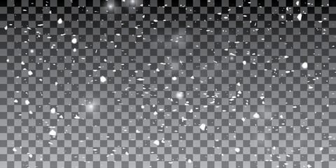 Real falling snow. Vector illustration.