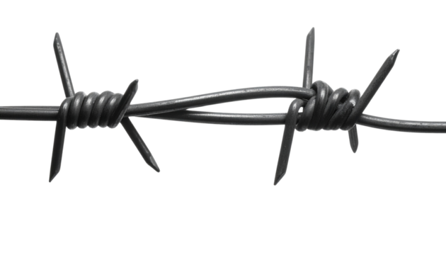 A close-up view of intertwined barbed wire, showcasing its sharp points and twisted design.