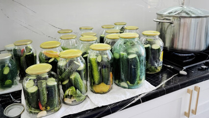 Fermenting cucumbers in glass jars, capturing pickling alchemy, tangy tradition, Cucamelon...