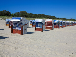 A Wide-Angle View of a Row of Beach Chairs on a Sandy Beach