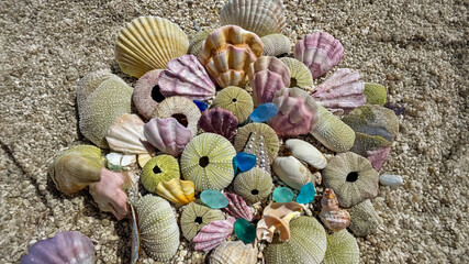An eclectic mosaic of seashells and sea glass whispers tales of coastal wanderlust, perfect for...