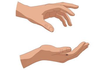 Two hands, one reaching down as if to give or receive, isolated on white background the other hand is open, palm up, ready to receive vector