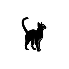 Silhouette of a black cat walking with its tail up.