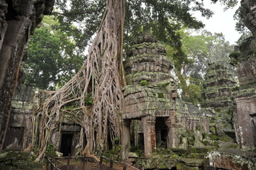 Ta Prohm temple, Cambodia Khmer
