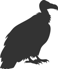 Vulture bird animal vector silhouette