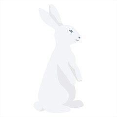 Fototapeta premium white rabbit on a white background