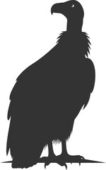 Vulture bird animal vector silhouette