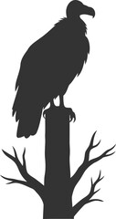 Vulture bird animal vector silhouette