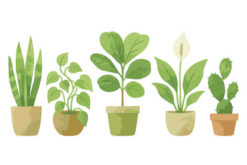 Indoor plant collection creating a vibrant atmosphere in a cozy space with various green vegetation