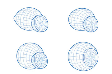 Detailed outline of lemon and lime slices showcasing their unique shapes and textures in a simple artistic style
