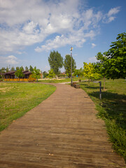 Obraz premium Scenic wooden pathway winding through lush greenery in a tranquil park, surrounded by trees and open sky, inviting visitors to explore nature and enjoy outdoor activities