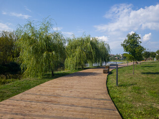 Fototapeta premium Scenic wooden pathway lined with lush green trees, leading towards a serene water body, under a bright blue sky with fluffy clouds, inviting outdoor exploration and relaxation