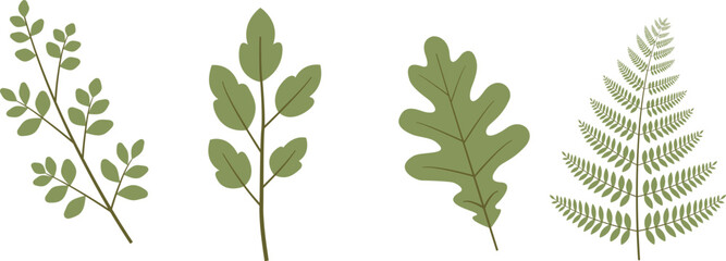 vector illustration of foliage set