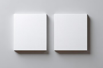 Fototapeta premium Two blank white square canvases on a light gray wall