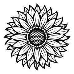 Sunflower Bloom Outline Vector
