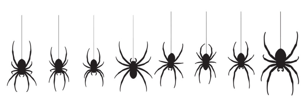 A collection of eight black spider silhouettes hanging from thin threads on a white background, perfect for Halloween decorations.