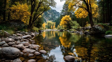Obraz premium Serene landscape photo of a tranquil river flowing through an autumn forest, with smooth stones lining the bank and trees with vibrant golden leaves.