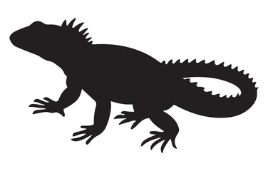 Fototapeta premium black and white silhouette vector of iguana
