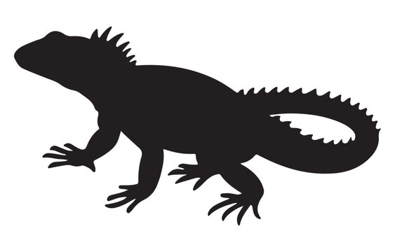 black and white silhouette vector of iguana