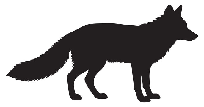 black and white silhouette vector red fox animal