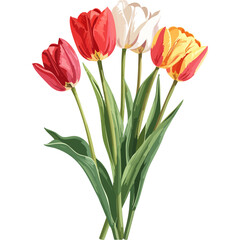 Hand Drawn Watercolor Tulip Flowers Illustration