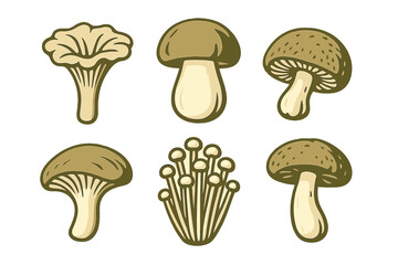 Diverse collection of edible and wild mushrooms featuring chanterelle, porcini, shiitake, and enoki fungi